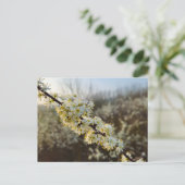Spring  postkarte (Stehend Vorderseite)