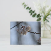 Spring  postkarte (Stehend Vorderseite)