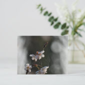 Spring  postkarte (Stehend Vorderseite)