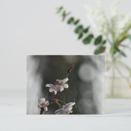 Spring  postkarte (Stehend Vorderseite)