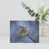 Spring  postkarte (Stehend Vorderseite)