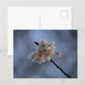 Spring  postkarte (Vorne/Hinten)