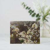 Spring  postkarte (Stehend Vorderseite)