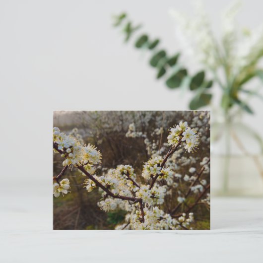 Spring  postkarte (Stehend Vorderseite)