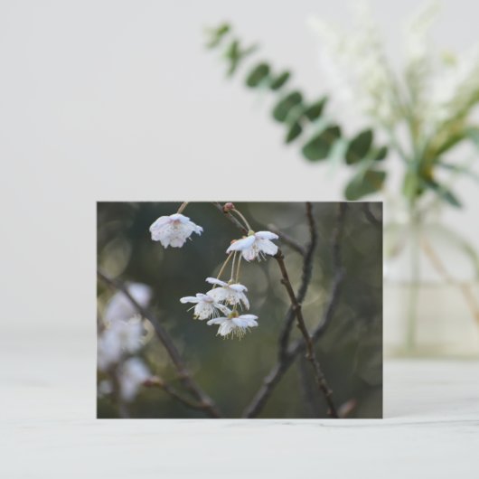 Spring  postkarte (Stehend Vorderseite)