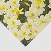 Spring Primrose Seidenpapier (Ausschnitt)