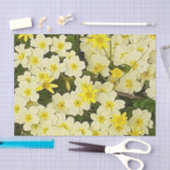 Spring Primrose Seidenpapier (Handwerk)