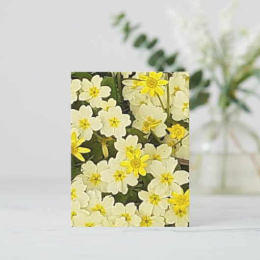 Spring Primroses Postcard Postkarte (Stehend Vorderseite)
