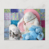 Spring Puppy Liebe Postkarte (Vorderseite)