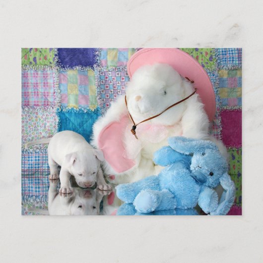 Spring Puppy Liebe Postkarte (Vorderseite)