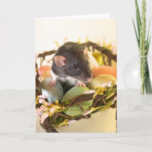 Spring Rat Card Feiertagskarte (Vorderseite)