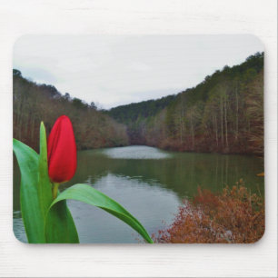 Spring Red Tulip at Lake Arrowhead Mousepad