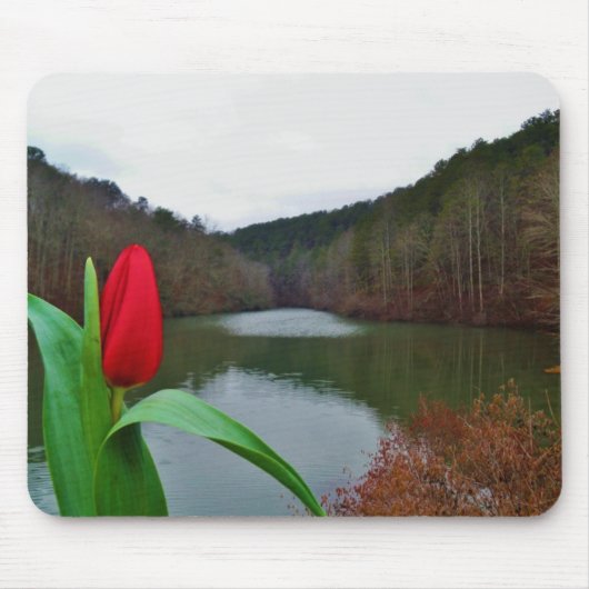 Spring Red Tulip at Lake Arrowhead Mousepad (Vorne)