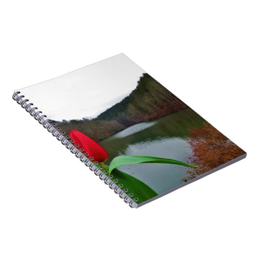Spring Red Tulip at Lake Arrowhead Notizblock (Rechte Seite)