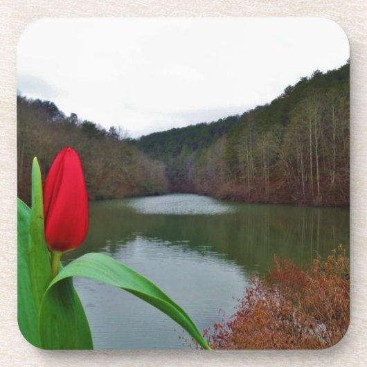 Spring Red Tulip at Lake Arrowhead Untersetzer (Vorderseite)