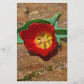 Spring Red Tulip Briefpapier (Vorderseite)