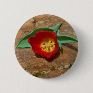 Spring Red Tulip Button