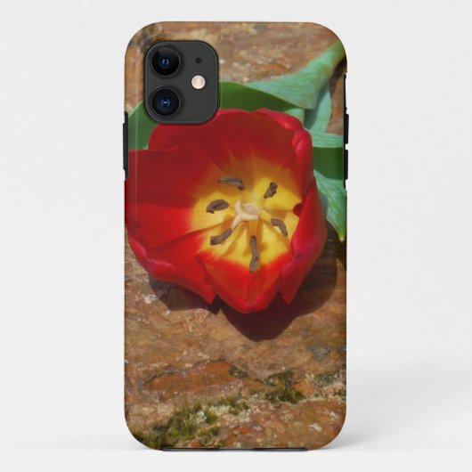 Spring Red Tulip Case-Mate iPhone Hülle (Rückseite)
