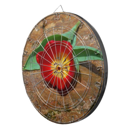 Spring Red Tulip Dartscheibe (Vorderseite rechts)