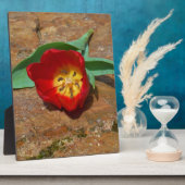 Spring Red Tulip Fotoplatte (Seite)