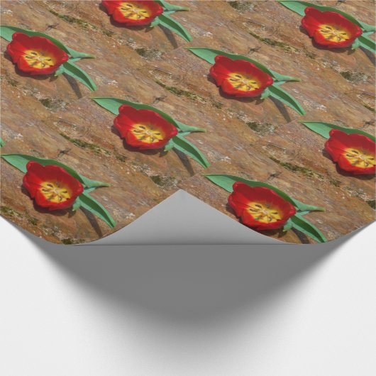 Spring Red Tulip Geschenkpapier (Ecke)