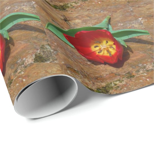 Spring Red Tulip Geschenkpapier (Rolleneckpunkt)