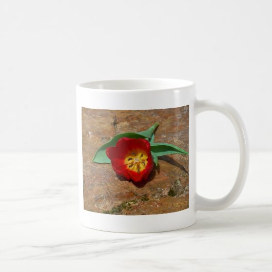 Spring Red Tulip Kaffeetasse (Rechts)
