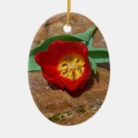 Spring Red Tulip Keramikornament (Vorne)