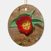 Spring Red Tulip Keramikornament (Links)