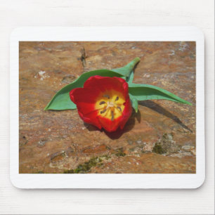 Spring Red Tulip Mousepad