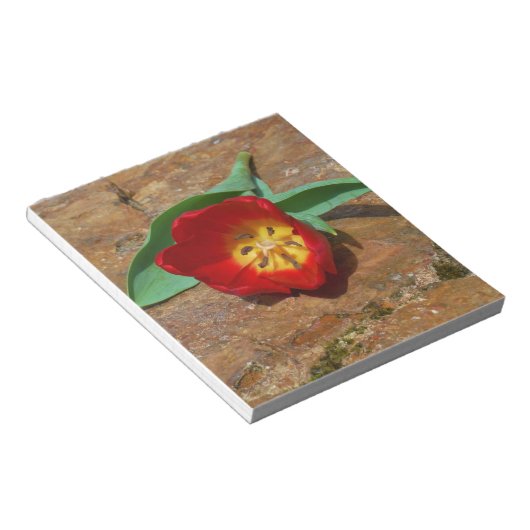 Spring Red Tulip Notizblock (angewinkelt)