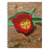Spring Red Tulip Notizblock (Vorderseite)