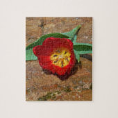 Spring Red Tulip Puzzle (Vertikal)