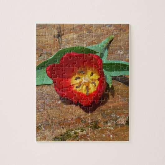 Spring Red Tulip Puzzle (Vertikal)
