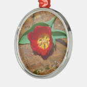 Spring Red Tulip Silbernes Ornament (Links)