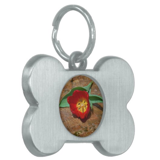 Spring Red Tulip Tiermarke (Vorderseite links)