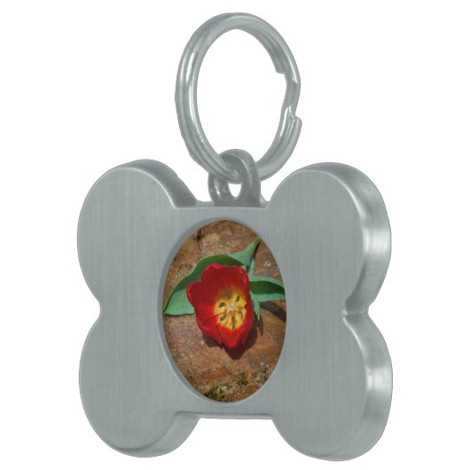 Spring Red Tulip Tiermarke (Vorderseite rechts)