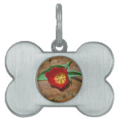 Spring Red Tulip Tiermarke (Vorderseite)