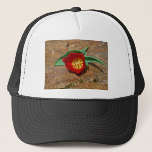 Spring Red Tulip Truckerkappe