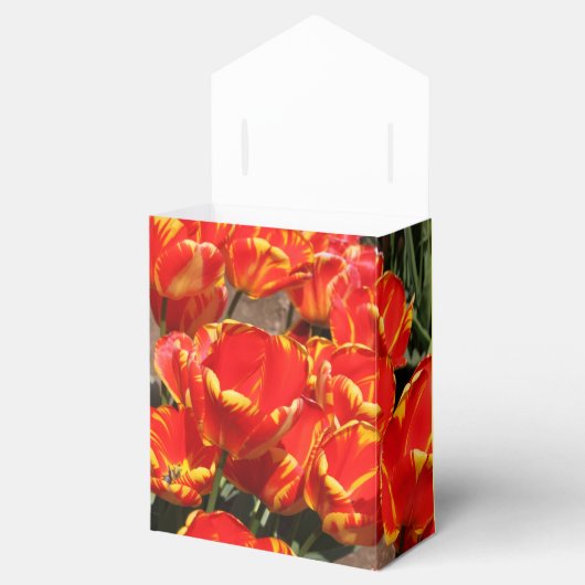 Spring Red Tulips Fevor Box Geschenkschachtel (Geöffnet)