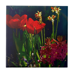 Spring Red Tulips Tile Fliese
