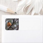 Spring Robin Adressetiketten (Insitu)