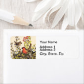 Spring Robin Birds Red Vogelbeobachtung (Insitu)