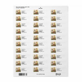 Spring Robin Birds Red Vogelbeobachtung (Vorne)