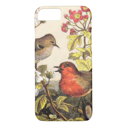 Spring Robin Birds Red Vogelbeobachtung Case-Mate iPhone Hülle (Rückseite)