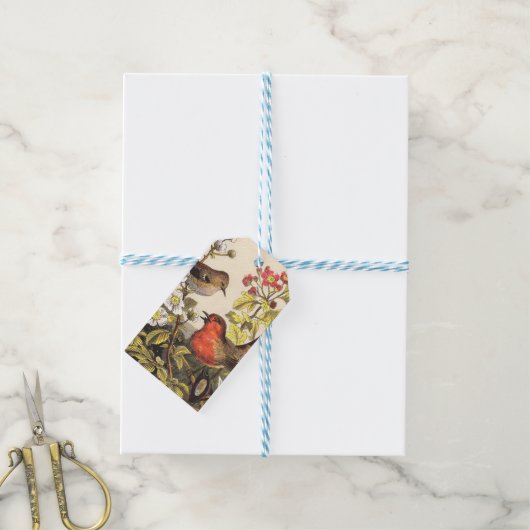 Spring Robin Birds Red Vogelbeobachtung Geschenkanhänger (Mit Garn)