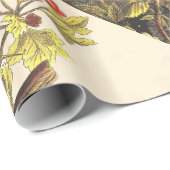 Spring Robin Birds Red Vogelbeobachtung Geschenkpapier (Rolleneckpunkt)