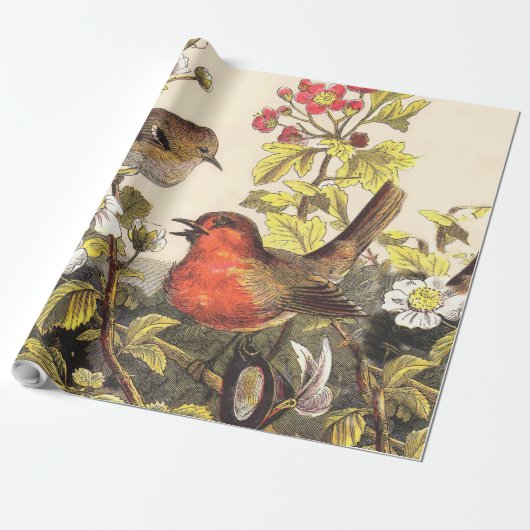 Spring Robin Birds Red Vogelbeobachtung Geschenkpapier (Ungerollt)