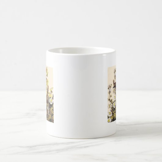 Spring Robin Birds Red Vogelbeobachtung Kaffeetasse (Mittel)