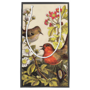 Spring Robin Birds Red Vogelbeobachtung Kleine Geschenktüte